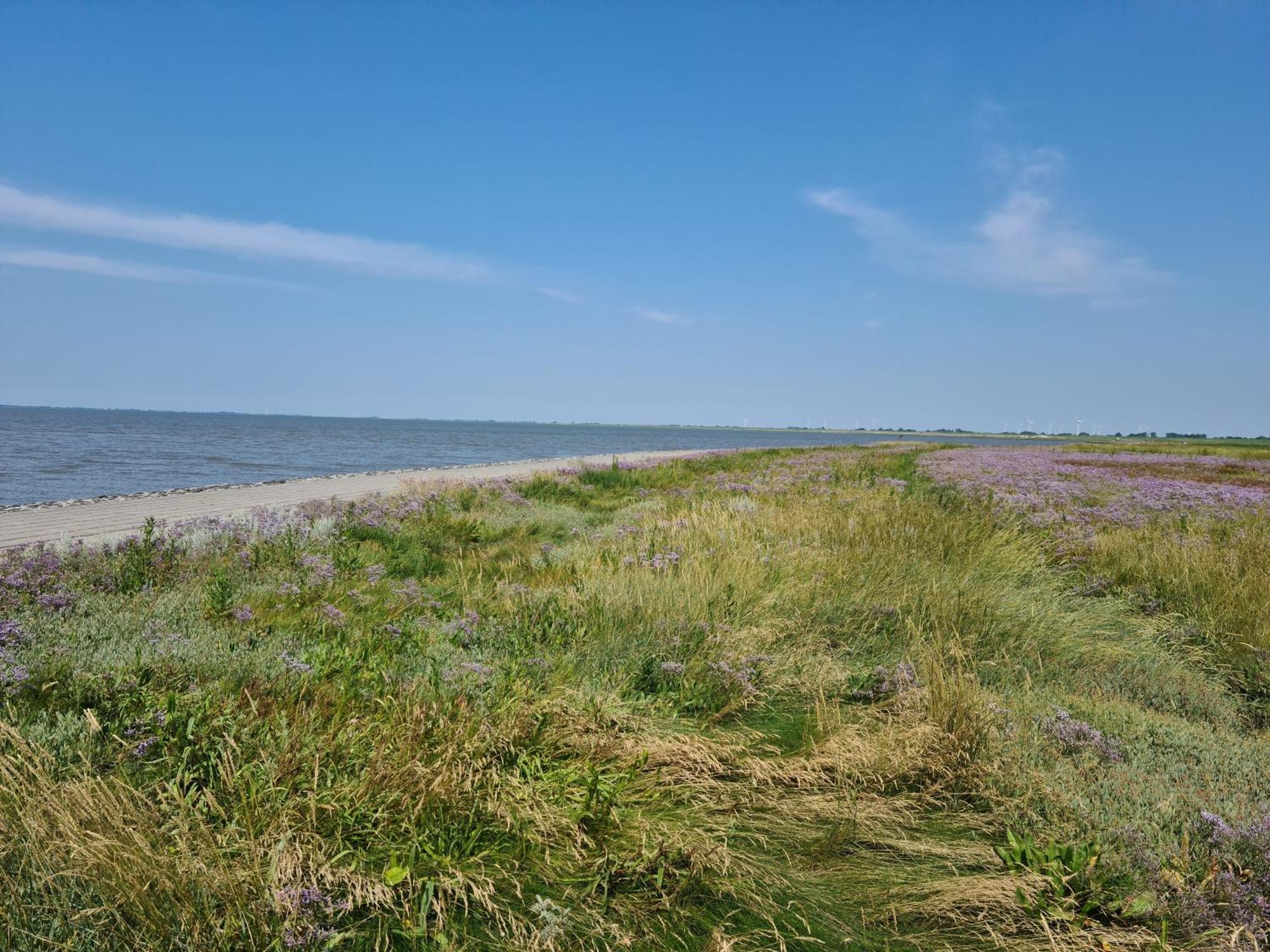 Haus Pudelwohl - Hundefreundliches Ferienhaus An Der Nordseekueste Sehestedt  Buitenkant foto